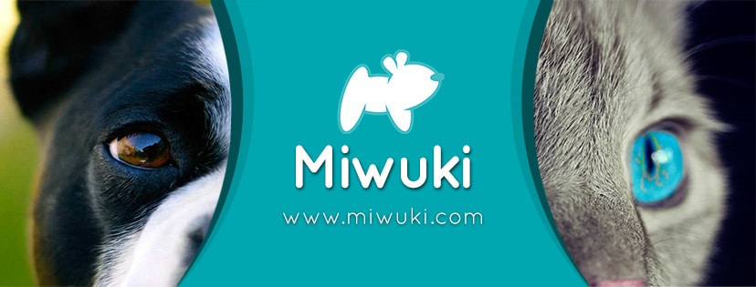 Miwuki Aplicacion