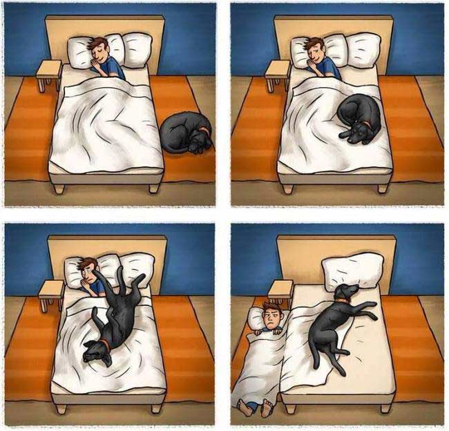 Lo malo de dormir con tu perro