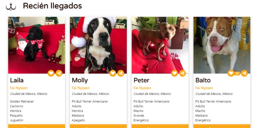 Plataforma para Adoptar perros