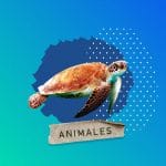 200 Animales en Extinción en México
