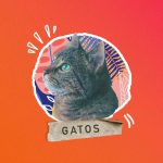 60 Nombres Griegos para Gatos